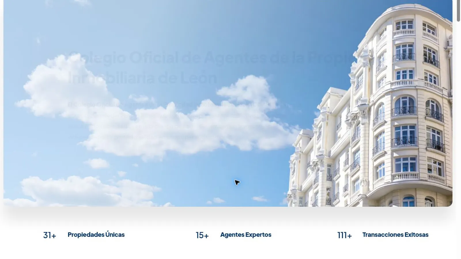 COAPI León — imagen 2 del proyecto realizado por A10web