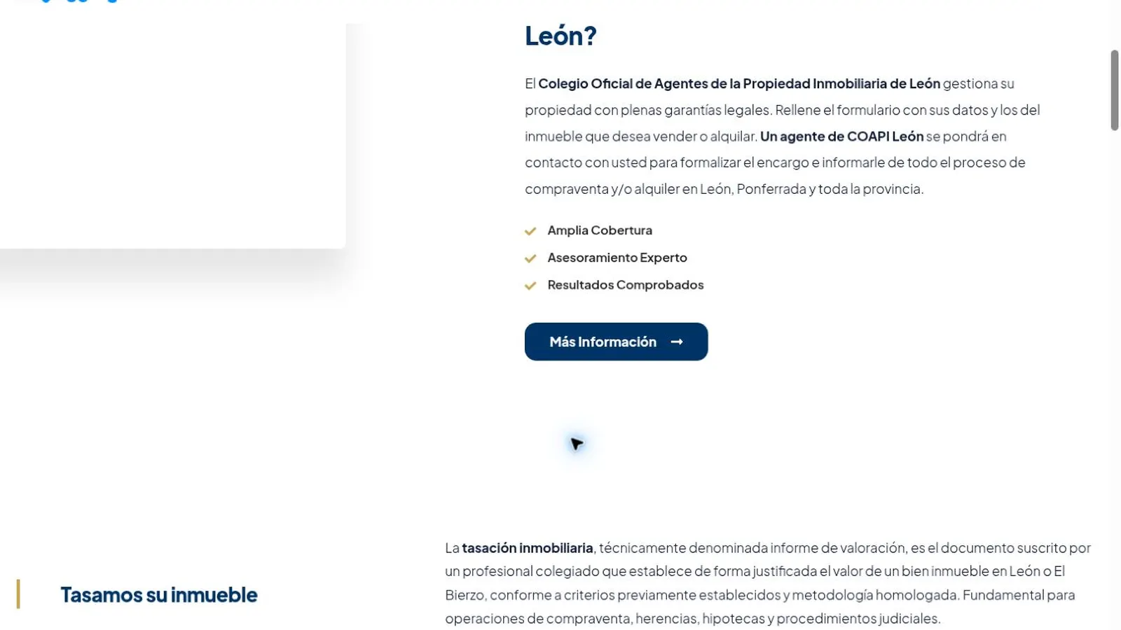 COAPI León — imagen 5 del proyecto realizado por A10web