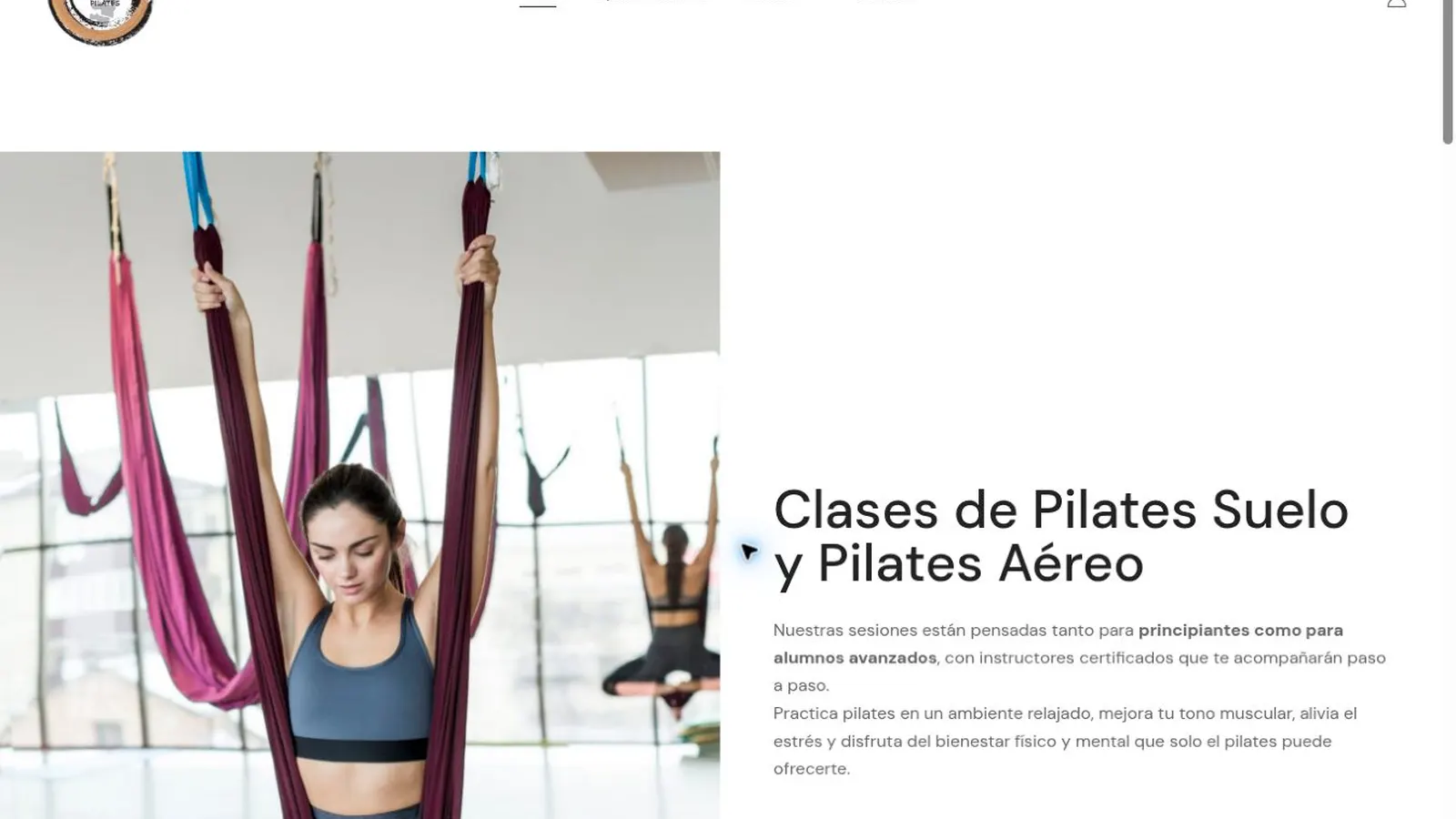 Pilates Cobisa — imagen 6 del proyecto realizado por A10web