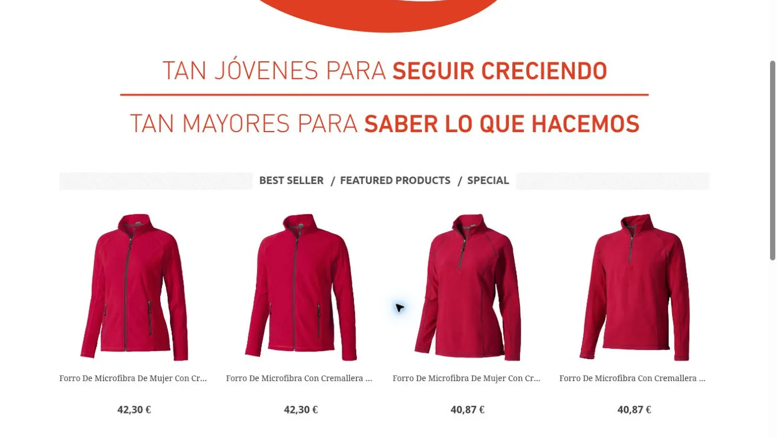 Prodicom — imagen 3 del proyecto realizado por A10web